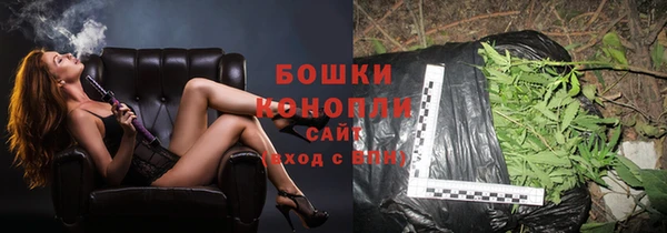 метадон Няндома
