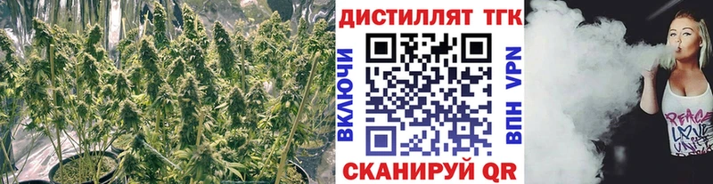 ТГК жижа  Полярный 
