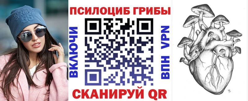 Галлюциногенные грибы GOLDEN TEACHER  Полярный 